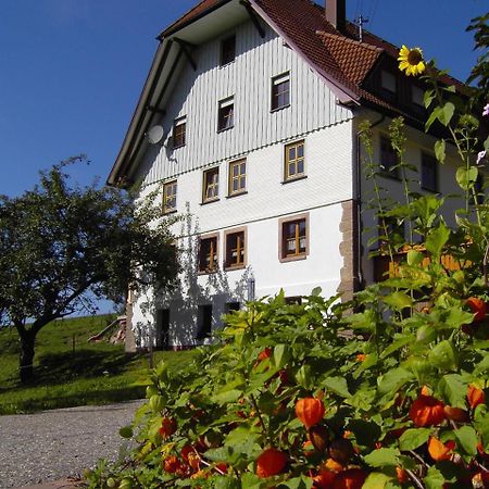 Fehrenbacherhof Naturgaestehaus Lauterbach  Exteriér fotografie